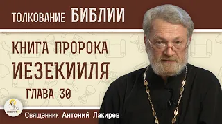 Книга пророка Иезекииля. Глава 30 "Гордыня разъедает любое могущество"  Священник Антоний Лакирев