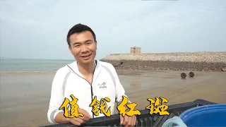 放螃蟹笼竟抓到值钱红斑，几百一斤全拿回家炖汤，给老婆补一补