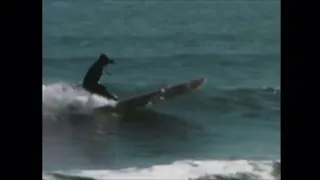 Fernandina Surfing 2004
