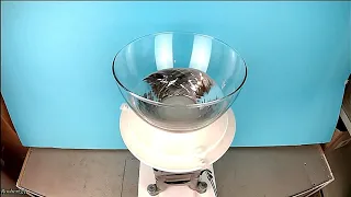 Lifting of Liquid Mercury with centrifugal force