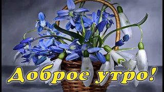 Доброе утро! Прекрасному человеку!