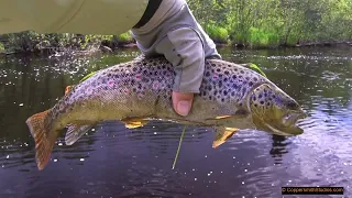 Hot Fishing in Cooks Run - Michigan's Upper Peninsula