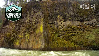 North Umpqua River in the rain | Oregon Field Guide