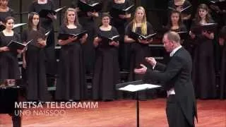 Metsa Telegramm (Naisso) / Blackbird (Lennon, McCartney, Runswick) - UNT Women's Chorus, Steenblik