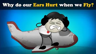 Why do our Ears Hurt when we Fly? + more videos | #aumsum #kids #science #education #children