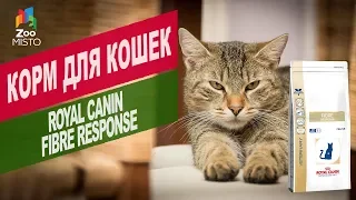 Корм для кошек Royal Canin Fibre response | Обзор корм для кошек Royal Canin Fibre response