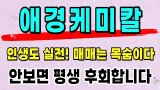 [주식]애경케미칼 - 핵심대응전략 주가 모멘텀 분석! 이 영상하나로 끝! 목표가는 결국 여깁니다