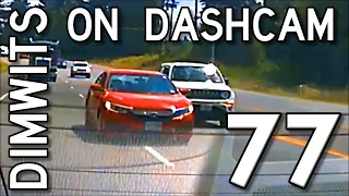 Dimwits On Dashcam - Vol 77