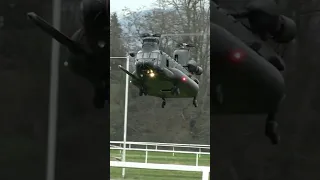 Super Big Black Chinook MH-47 RC Bicopter Approaches for Landing