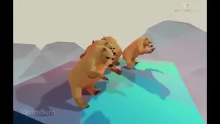 Dancing bears