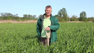 Friedrich Wenz über die Regenerative Landwirtschaft - HumusFarming