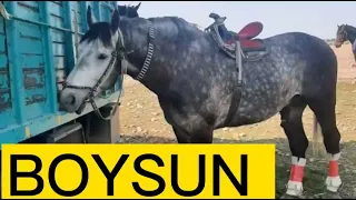 #boysun #mirsodiq