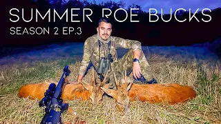 2 Quality Roe Bucks In the Same Evening - Season 2 Episode 3