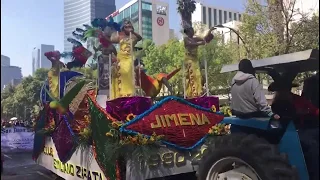 Mexico City   Street Parades