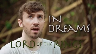 Lord of the Rings - In Dreams - Peter Hollens (By Real Human Elf)