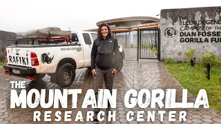 A STRESSFUL DRIVE TO EXPLORE THE MOUNTAIN GORILLA FUND IN RWANDA |S3EP7|