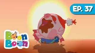 KikoRiki - Viață dulce (Episodul 37) - Desene animate | BoonBoon