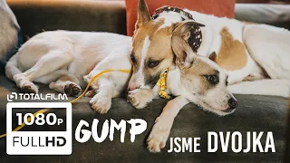 Gump - jsme dvojka (2024) Natáčení začalo