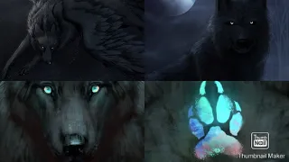 I bet you can't stop watching this wolf