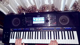 Titanic cover  –  Ершат   Yamaha psr sx900