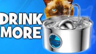 SILENT Water Fountain For Your Cats | Aonboy Cat Water Fountain