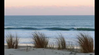 Lacanau Surf Report - Mardi 28 Février 8H30