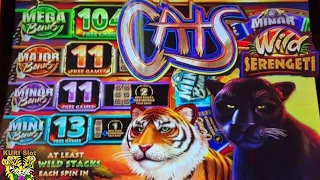 ★BIG WIN ON NEW CATS !!★CATS WILD SERENGETI Slot (IGT)☆LOVELY SLOT MACHINE ☆ 栗スロ