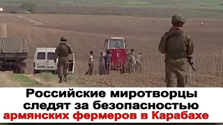 Российские миротворцы следят за безопасностью армянских фермеров в Карабахе