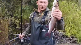 Самая лучшая осенняя рыбалка на горной реке в Хабаровском крае