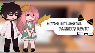 Anya’s Biological Parents React💕||Late 🗿👍✨||