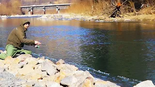 Ловим самую не активную форель зимой в Карпатах. Рыбалка на горной реке