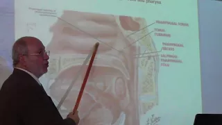 anatomy of the walls of the pharnyx and the tonsils by Dr.Wahdan