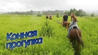 Прогулка на лошадях | Конный клуб «Аллюр»