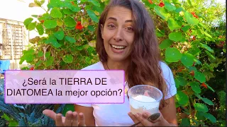 ¡CUIDADO con la TIERRA DE DIATOMEAS! ¡No apliques sin ver ese vídeo!