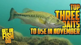 Don't Go Bass Fishing WITHOUT These 3 Lures in November