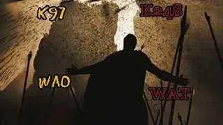 Clash of Kings K97 kvk K248 Rallying there knight