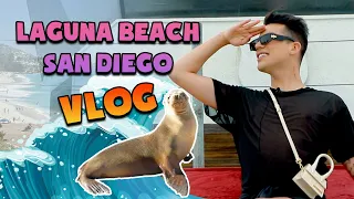 I GOT SO CLOSE TO THE SEA LIONS! LAGUNA BEACH! - SAN DIEGO VLOG