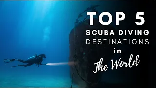 Best Dive Locations in The World (2021 Guide)