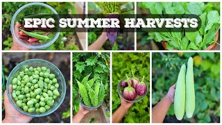 EPIC Harvests, Gardening Tips & A Lot More! - California Gardening September Garden Tour!