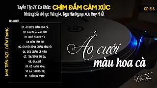 [CD316] Mở Nhẹ Nhàng Lk Nhạc Vàng Hải Ngoại Xưa Bất Hủ Còn Mãi Theo Thời Gian| Hữu Thái Lossless