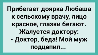 Доярка Жалуется Врачу, что Муж Подцепил! Сборник Свежих Смешных Жизненных Анекдотов!