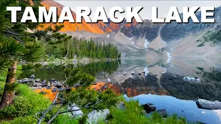 Tamarack Lake | Anaconda-Pintler Wilderness, Montana