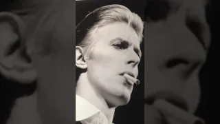 BOWIE LIVE AT NASSAU COLISEUM STAYYYYYYYYYYYYYYYYYYYYY 23-03-1976 THE THIN WHITE DUKE BY ANDREW KENT