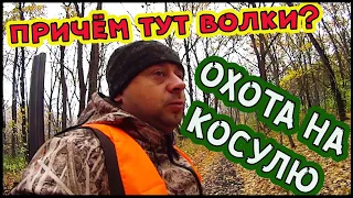 Охота на косулю осенью. Коллективный выезд.