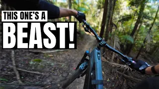 Pegasus - Kincumber Mtb