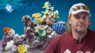 How to Properly Aquascape a Saltwater Aquarium