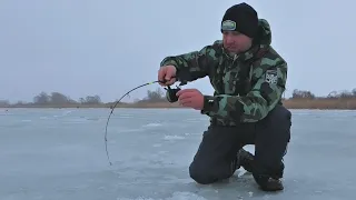 ВОТ ЭТО ПОПАЛ НА ЩУЧИЙ ОБЕД! С жадностью хватают балансир и клюют на жерлицы!