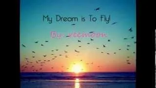 My Dream is to Fly - LYRICS - مترجمة