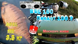 Заводим Москвича стоял 11 лет_Коптим леща на 3,5 кг_Питбайк поедет 100 км?