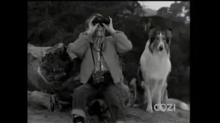 Lassie - Episode #323 - "Eagle's Lair" - Season 9, Ep.32 - 05/19/1963
